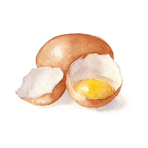 イラスト_03